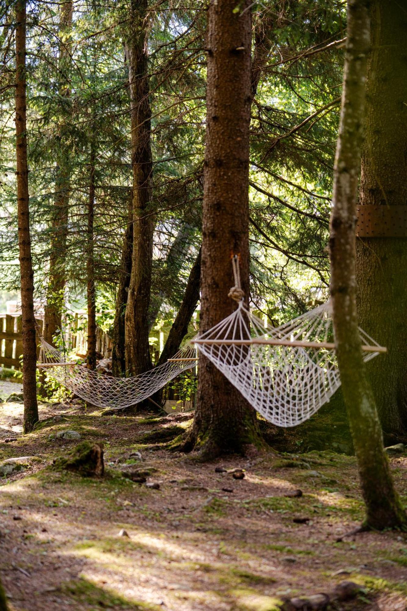 La Tana Dell'Orso Hotel & Spa Ponte Di Legno Εξωτερικό φωτογραφία